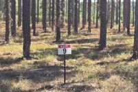 Undeveloped Land for sale in Sabine Parish, Louisiana