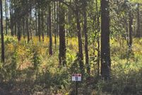 Property for sale in Sabine Parish, Louisiana