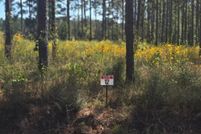 Property for sale in Sabine Parish, Louisiana