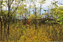 Property for sale in Columbia County, New York