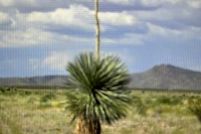 Property for sale in Hudspeth County, Texas