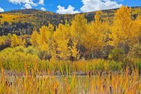 Undeveloped Land for sale in Mesa County, Colorado