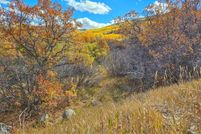 Undeveloped Land for sale in Mesa County, Colorado