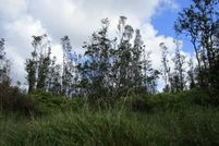 Undeveloped Land for sale in Hawaii County, Hawaii