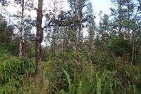 Undeveloped Land for sale in Hawaii County, Hawaii