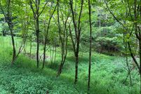 Undeveloped Land for sale in Clay County, North Carolina