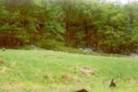 Undeveloped Land for sale in Luzerne County, Pennsylvania