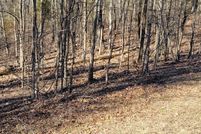 Undeveloped Land for sale in Stewart County, Tennessee