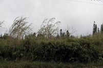 Property for sale in Hawaii County, Hawaii