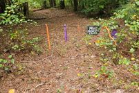 Property for sale in Dallas County, Arkansas