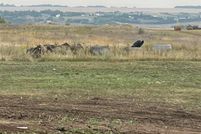 Undeveloped Land for sale in Mountrail County, North Dakota