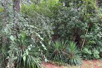 Undeveloped Land for sale in Edgecombe County, North Carolina