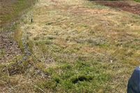 Property for sale in Butte County, California