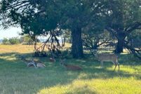 Undeveloped Land for sale in Bell County, Texas