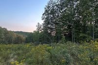 Undeveloped Land for sale in Chemung County, New York