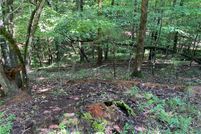 Property for sale in Gilmer County, Georgia