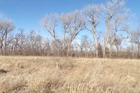 Undeveloped Land for sale in Platte County, Nebraska