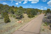 Undeveloped Land for sale in El Paso County, Colorado