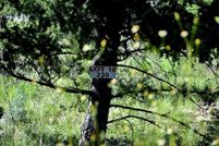 Undeveloped Land for sale in Lincoln County, New Mexico