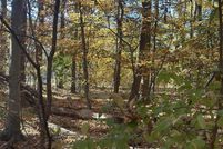 Undeveloped Land for sale in Vance County, North Carolina