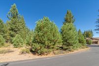 Undeveloped Land for sale in Nevada County, California
