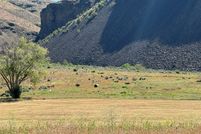 Property for sale in Douglas County, Washington