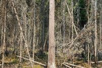 Property for sale in Mackinac County, Michigan