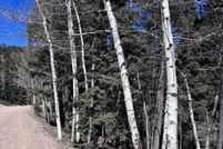 Undeveloped Land for sale in Colfax County, New Mexico