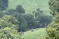 Undeveloped Land for sale in Braxton County, West Virginia