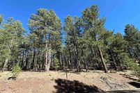 Undeveloped Land for sale in Colfax County, New Mexico