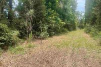 Undeveloped Land for sale in Tyler County, Texas