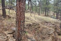 Property for sale in Jefferson County, Colorado