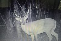 Property for sale in Turner County, Georgia