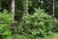 Undeveloped Land for sale in Hampden County, Massachusetts