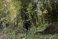 Property for sale in Fulton County, Georgia