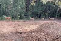 Property for sale in San Mateo County, California