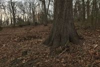 Property for sale in Morris County, New Jersey