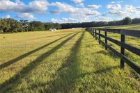 Undeveloped Land for sale in Alachua County, Florida