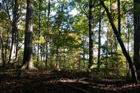 Property for sale in Cheatham County, Tennessee