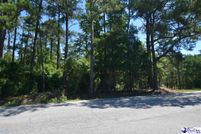 Undeveloped Land for sale in Florence County, South Carolina