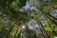 Property for sale in Saint Clair County, Alabama