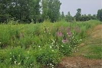 Property for sale in Erie County, New York