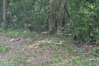 Undeveloped Land for sale in Liberty County, Texas