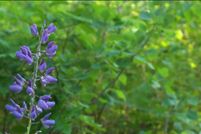 Property for sale in Bayfield County, Wisconsin