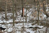 Property for sale in Owen County, Indiana