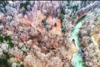 Property for sale in Green County, Kentucky