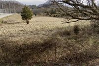 Undeveloped Land for sale in Scott County, Virginia