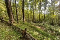 Property for sale in Jackson County, North Carolina