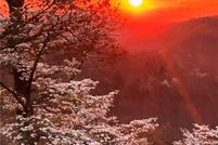 Property for sale in Barry County, Missouri