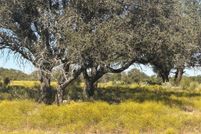 Property for sale in Comanche County, Texas